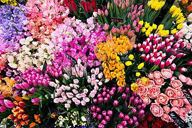 SE依然推荐《巴兰的异想奇境》 即便被中裕司起诉